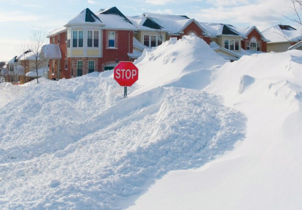 Snow Drift