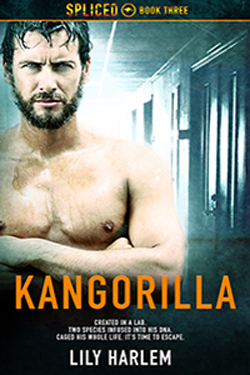 kangorilla